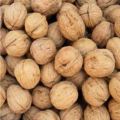 Noci di Faenza