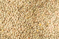 Lenticchie Mignon secche (1 kg)