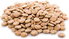 Lupini secchi (1 kg)