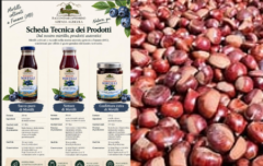 Mirtilli e Marroni dell'Appennino