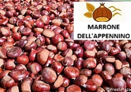 Marroni del nostro Appennino al kg