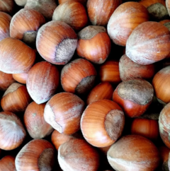 Nocciole in guscio 1000 g